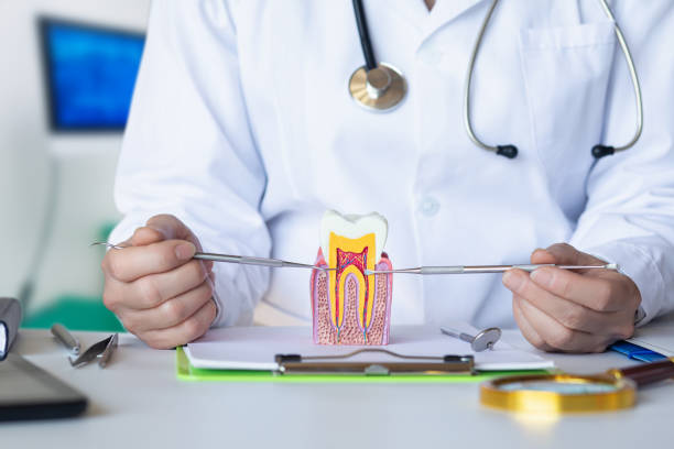 Best Emergency Dental Care for Trauma or Injury in Mokena, IL